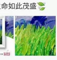"我们眼中的“天赋”,可能是自闭症孩子的荆棘之路"