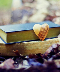 ����Ů�ѡ����鲻����飬�����ͬ�ϡ�����