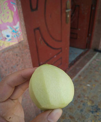想念我的野桃子,今年是没有了,只能等来年了。