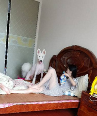 ���ۼ�����ĦҮС�̹�