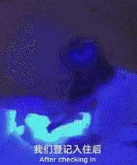 "2000元一晚的酒店竟这么恶心?!网友做个测试,看完背后发痒"