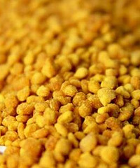 "蜂花粉美容的重要作用!金福力牌蜂胶"