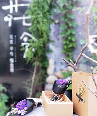 【花念教师节礼品特惠】