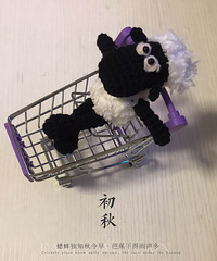 肖恩来了