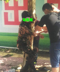 ��������Ѱ����ɰ����� �Ӽ���������(��ͼ)