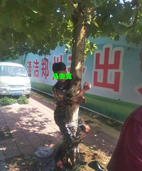 ��������Ѱ����ɰ����� �Ӽ���������