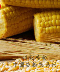 "川北:秋季养生 玉米凉粉让你更健康"