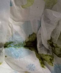 7���±��� �е������� ÿ��4-5��