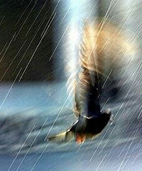 Life isn��t about wai