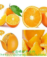 "“美容维生素”橙子食谱"