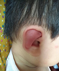 ��������������ҧ�� ��������������׳�����������