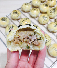 "榨菜鲜肉月饼"