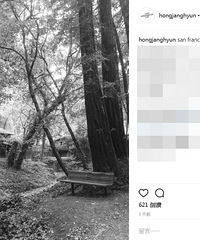 "双宋婚纱照是森林系?摄影师一张照片露玄机"