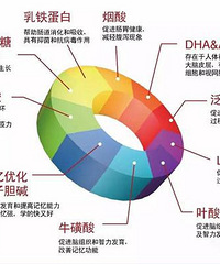 "上半年婴幼儿配方羊奶粉业绩大涨 优质国货秦乳羊奶粉受追捧"