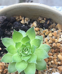 �������ڸ��ڳ������ѽ