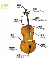 送票|音乐季开幕音乐会 “王”者归来Ⅰ 王健大提琴演绎德沃夏克