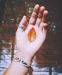 �ײ��延�ޱ���