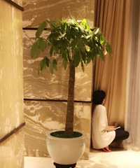 许晴变任性小女生喊“就不”躲墙角 背影惹人疼惜