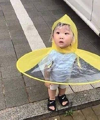 ����������Ļ���ר�����»��ˣ� һ��������ֶ��ǻ�����