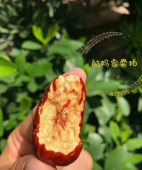 美容枣