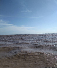 Ǯ�����۳�