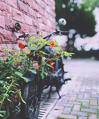 ����ô���ľ����ֻ����տ�