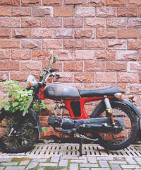 ����ô���ľ����ֻ����տ�