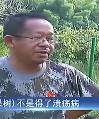 "可惜!果农辛苦一年收获40万斤优质猕猴桃,却烂在地里,谁来帮"