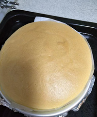 能抖动的烫面棉花蛋糕