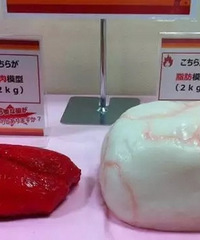 "十三.被误读的 BMI 指数.肥胖的身体"