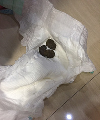 �Ҷ����������ޣ���������һ������