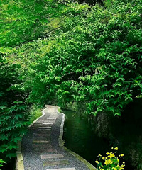 一起出去,决不能错过的风景