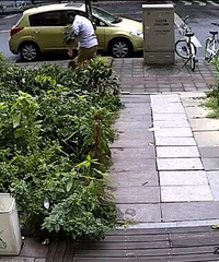 "城西一家喜糖铺门口的“黄金万两” 竟被他"