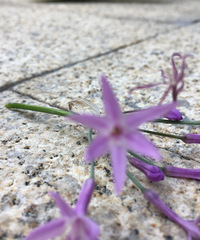 早晨的阳光
