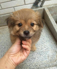 �����Լ��ҵĹ�����ֻ��Ҫ�Ĵ��٣�������