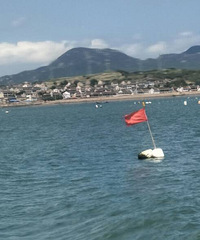 ������ɽ��