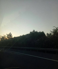 晨光