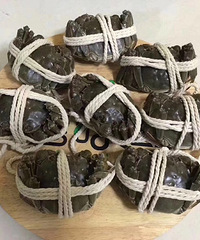 【正宗阳澄湖大闸蟹】