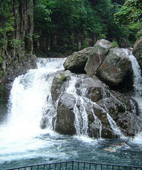 十一首选去天目山