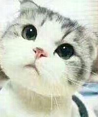 �ڼ����ģ�ȥ������Ӱ����Ʊһ��45������