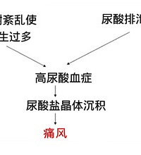 "速转!吃青木瓜可以降低尿酸治疗痛风?切勿"