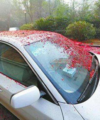 �������ھӽ�����ը�� ������Ӱ�����˻�������