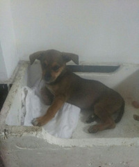 С����ʧ������