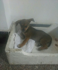 С����ʧ������