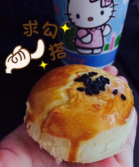 一枚好吃还能充饥的海鸭蛋黄酥