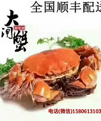 阳澄湖一日游