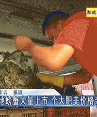 "武汉吃货注意,本地螃蟹大量上市!吃螃蟹最好时机来了,个大肥美