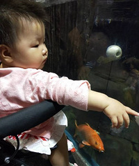 水族馆之旅