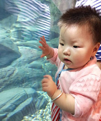 水族馆之旅