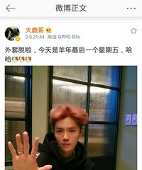 鹿晗更新微博,网友:又开始拼命了!喜欢鹿